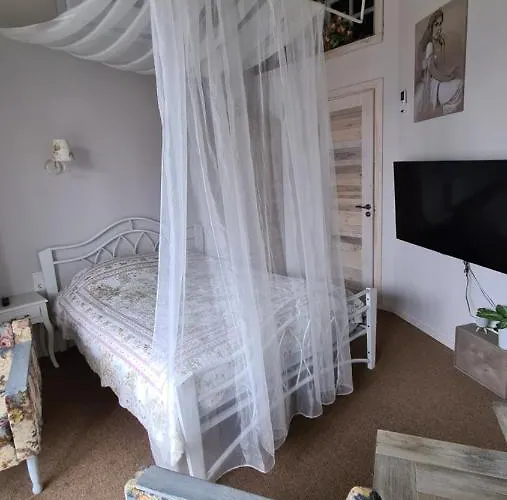 Dp Art - Self Check In 3* Kaunas