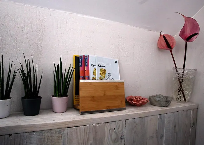 Dp Art - Self Check In Pensionat Kaunas