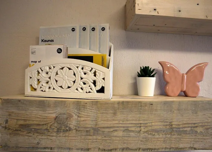 Dp Art - Self Check In 3* Kaunas